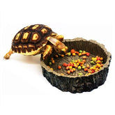 Reptile Vivarium Feeding Pan Turtle Horned Frog Water Food Bowl